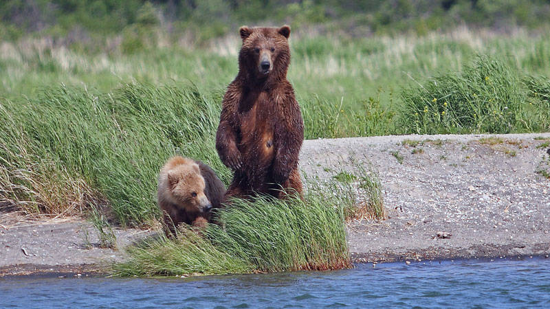 Fighting to Keep Alaska’s Rivers Wild · National Parks Conservation ...