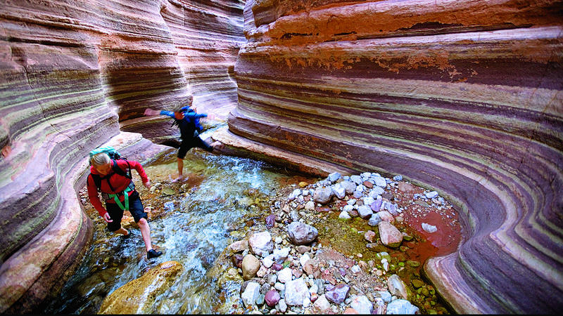 Weeding the Grand Canyon  National Parks Conservation Association