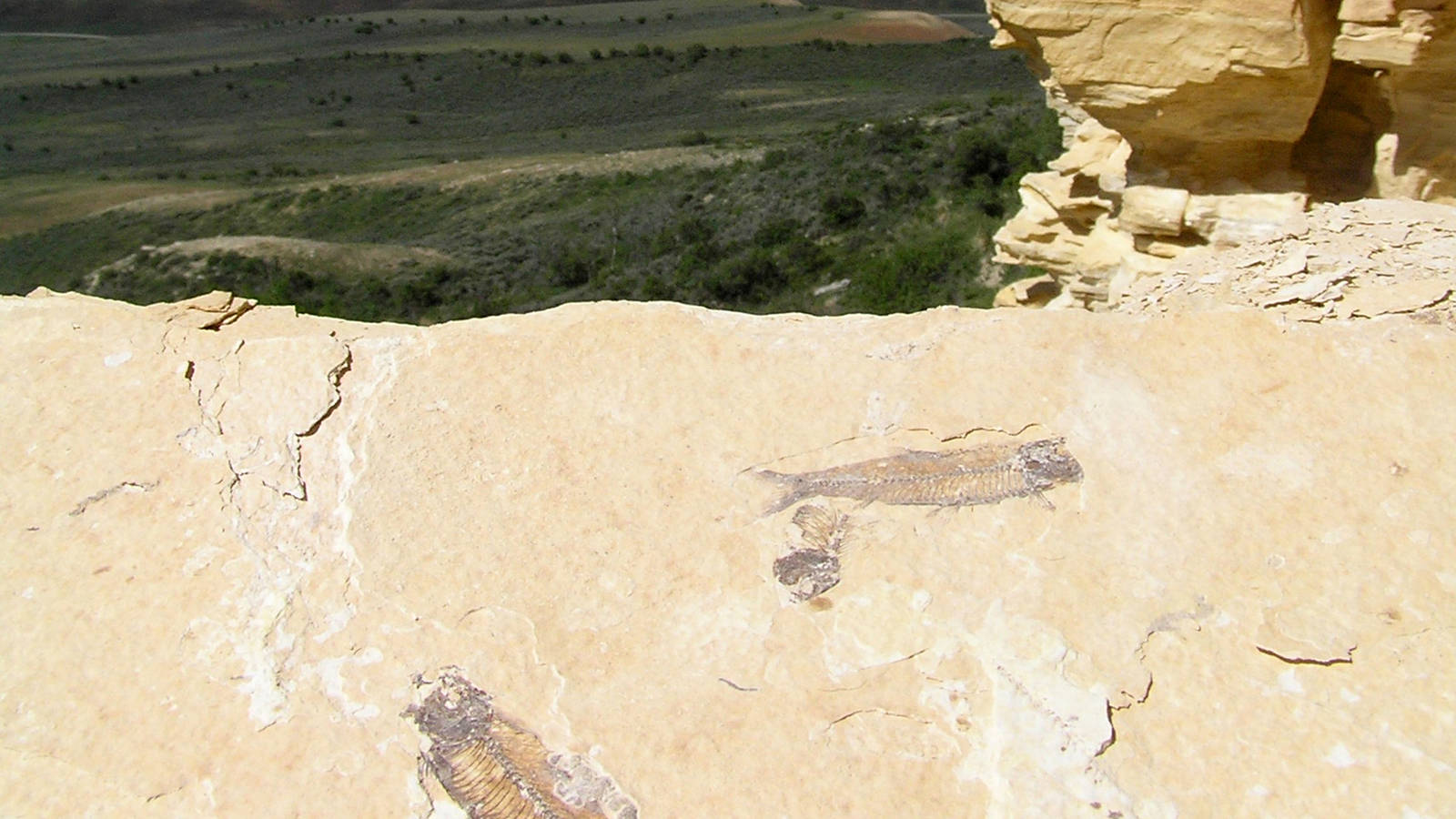 Fossil Butte · National Parks Conservation Association
