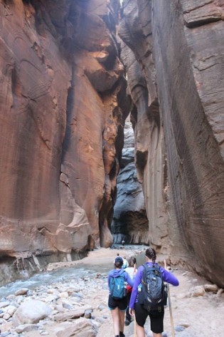 Hiking the Narrows is a popular and memorable experience at Zion. 